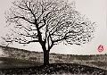 encre de chine_0011
